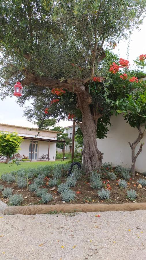 Relais Il Giardino Fra Gli Ulivi Villa Torino di Sangro Exterior photo